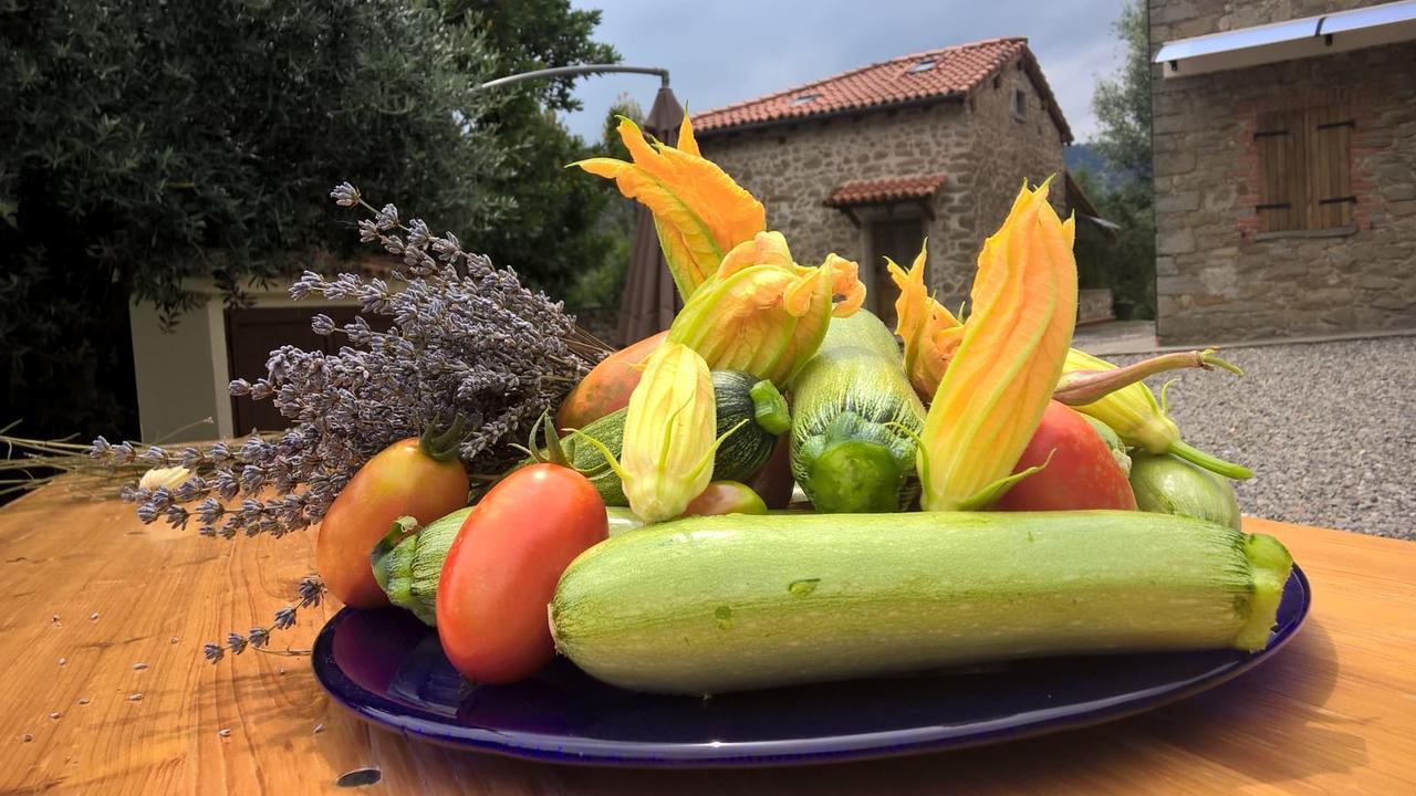 Agripodere Il Falco Pontremoli Luaran gambar